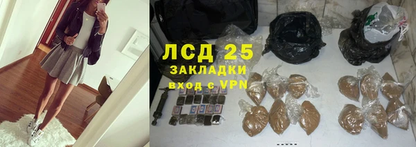 индика Рославль