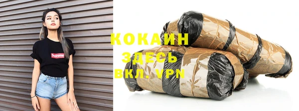 прущие крисы Горняк