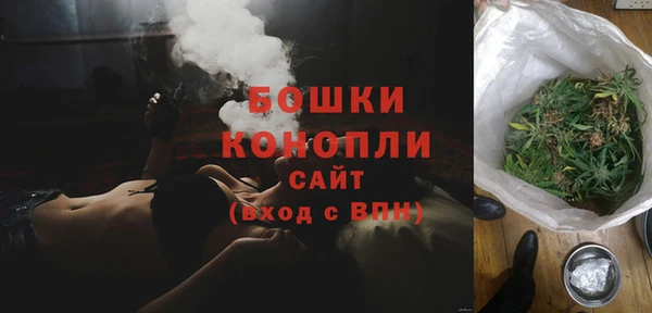 прущие крисы Горняк