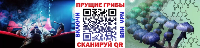 Псилоцибиновые грибы Magic Shrooms  Жигулёвск 